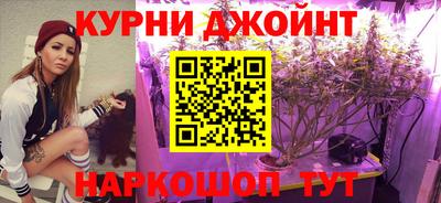 крисы Бийск