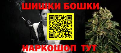 крисы Бийск