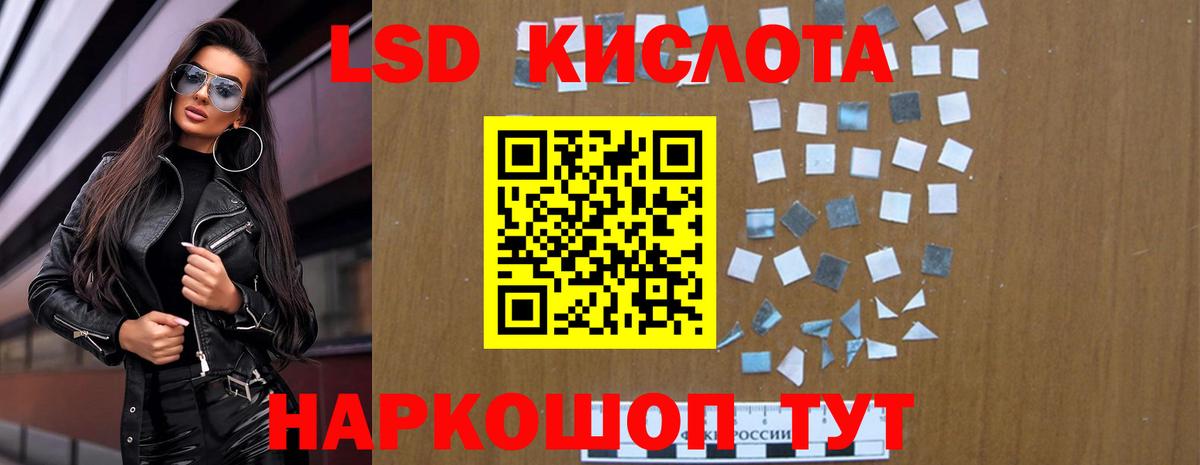 Бошки Шишки Кимры